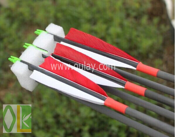 80cm carbon arrows shafts for hunting