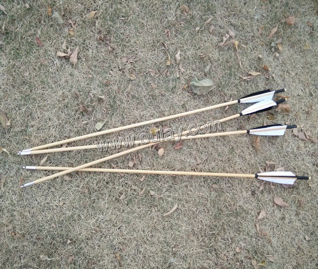 blue wood arrows