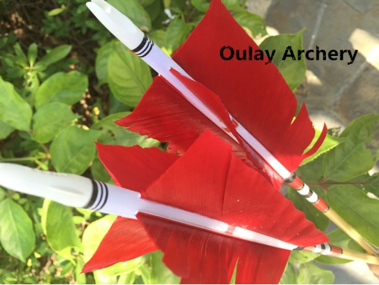 Customized Red Flu Flu Arrows 30~33inch wood arrows