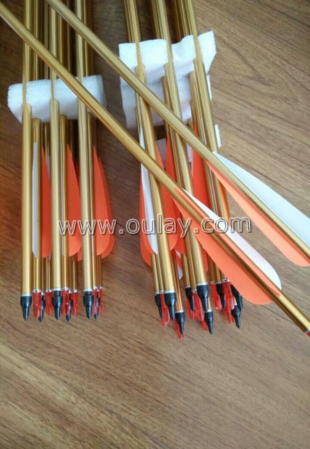 2219 gold aluminum arrows