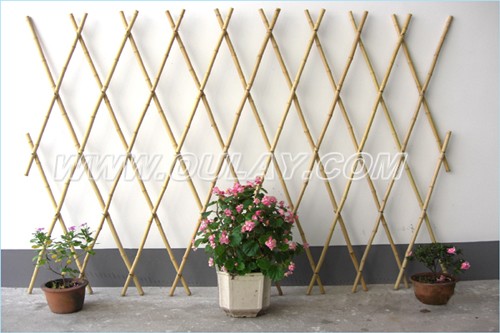 Bamboo trellis