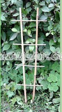 Bamboo trellis