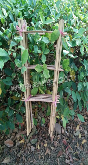 Bamboo trellis