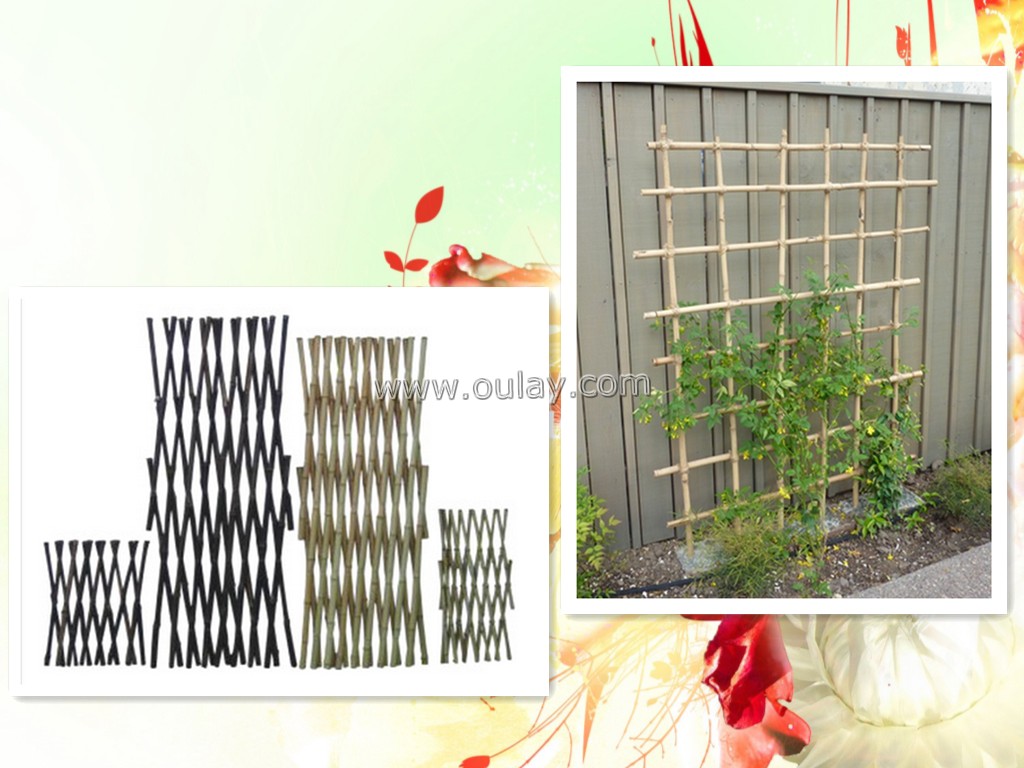 bamboo ladders