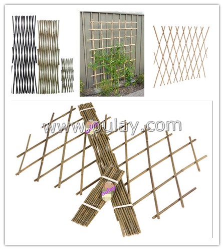 bamboo garden trellis