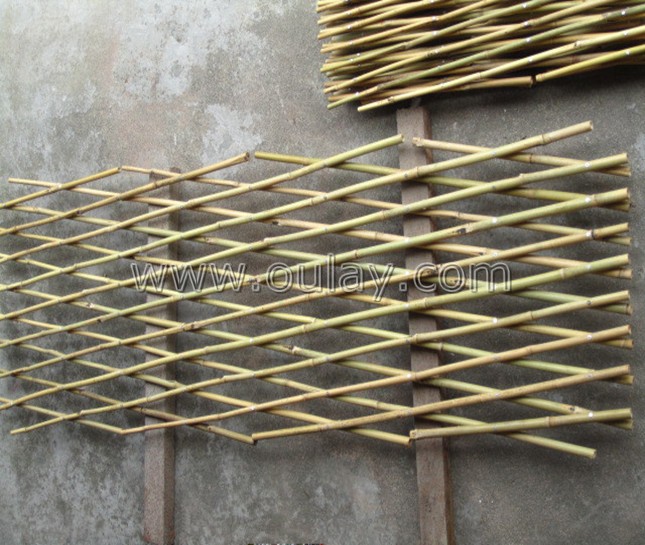 Outdoor bamboo trellis