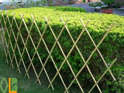 high quality and nature bamboo fence/bamboo fencing/tonkin bamboo fence