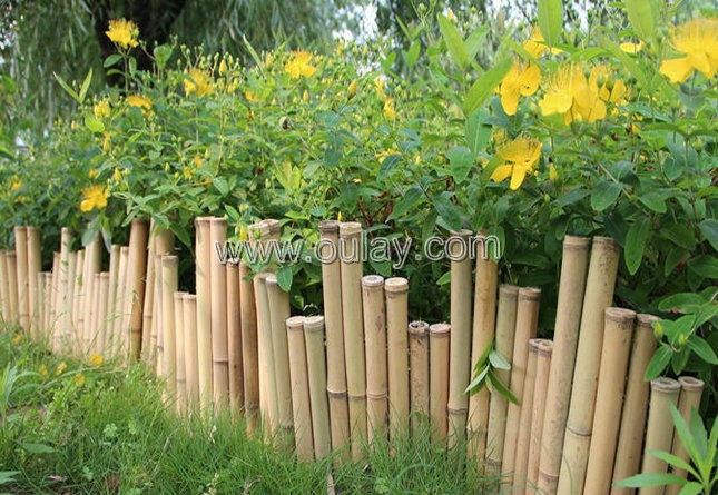 bamboo garden fence