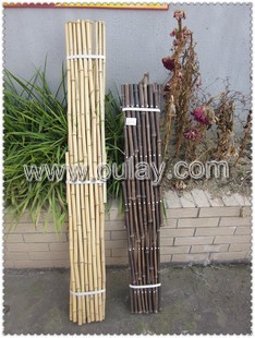 bamboo fence