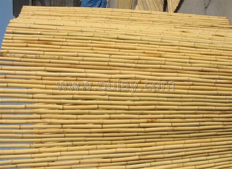 bamboo rall fence