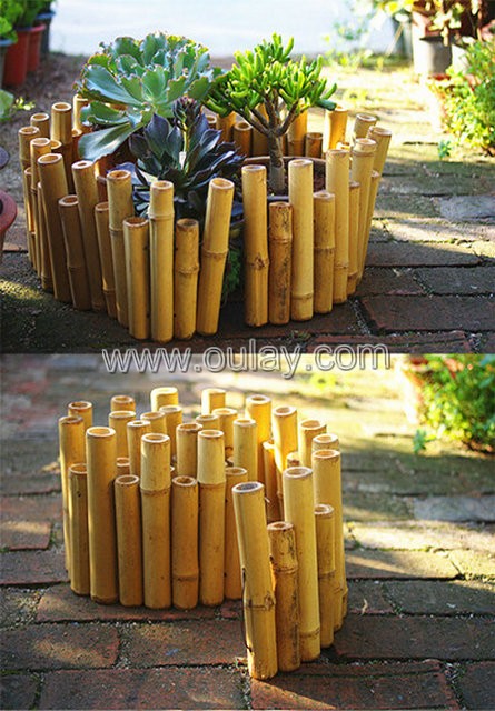 Small bamboo edging