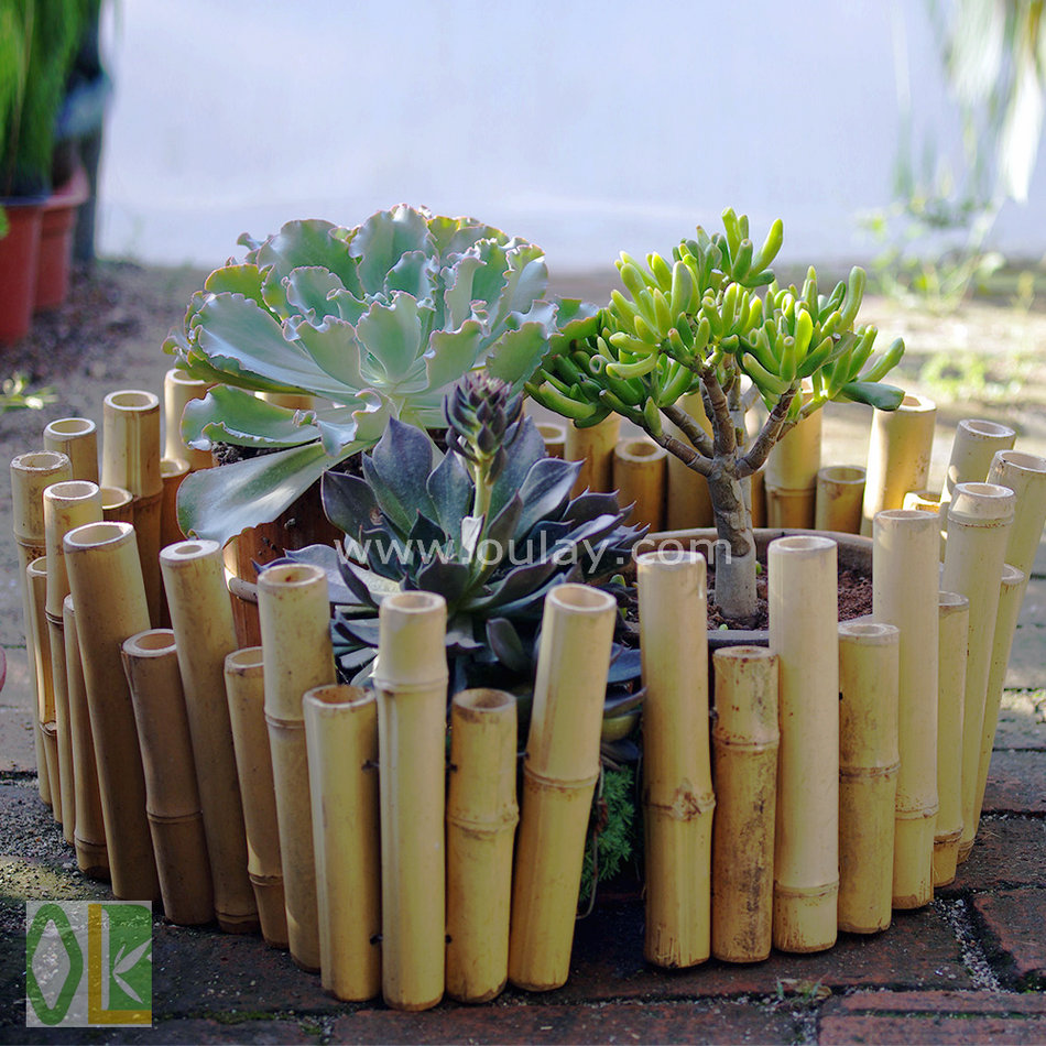 garden bamboo fence,bamboo edgings