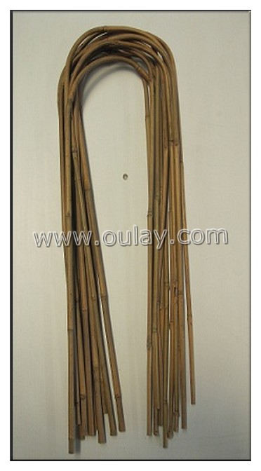 tonkin bamboo  u hoops