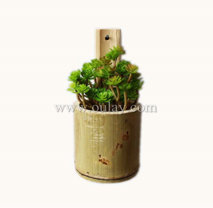 Hanging garden flower pot succulent plants