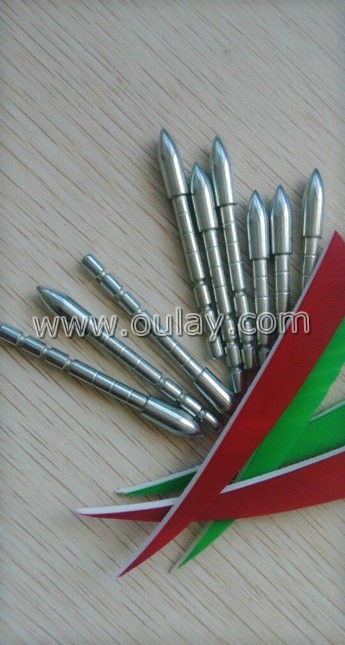 110gr insert arrowheads for carbon