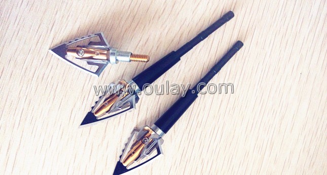 broadheads with outserts