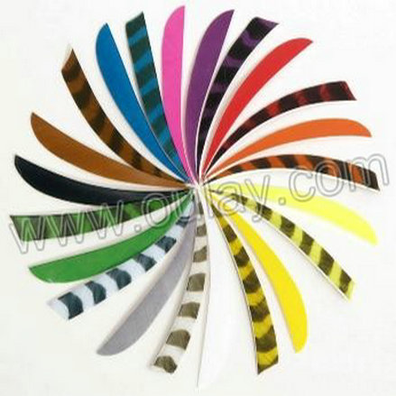 Conical & striped real turkey feathers/arrow vanes