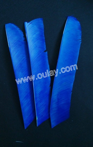 blue long nock feathers