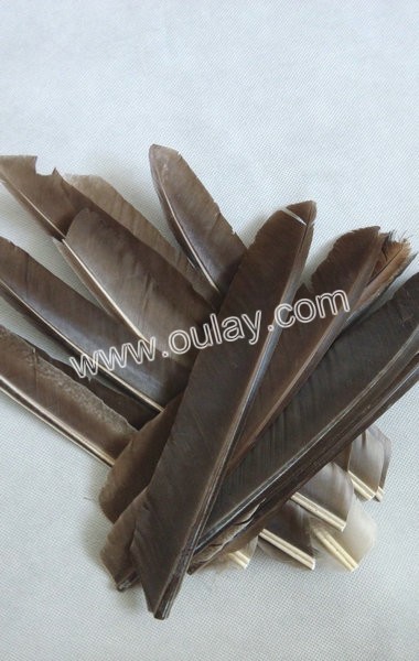 20~25cm left wing real arrow fletching feathers