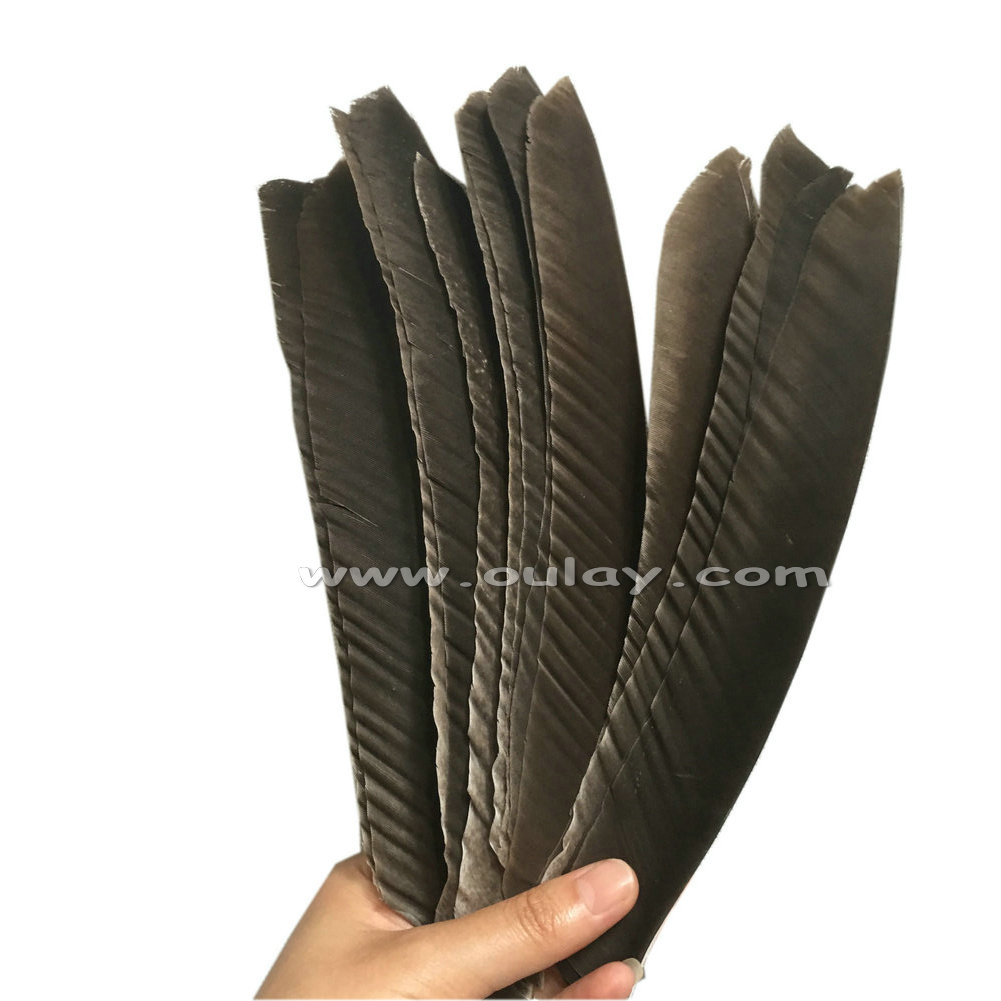 Nature gray full length archery turkey feather 18-23cm for sale