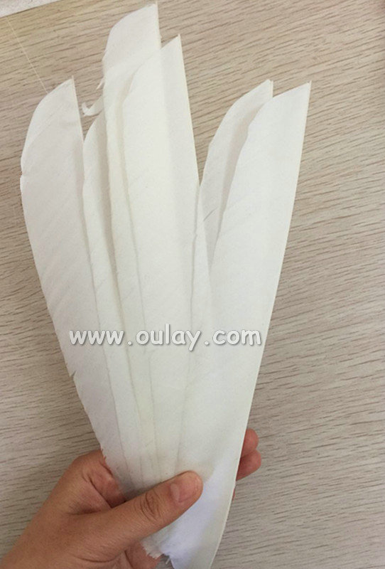 natural white turkey feather 18-23cm for sale