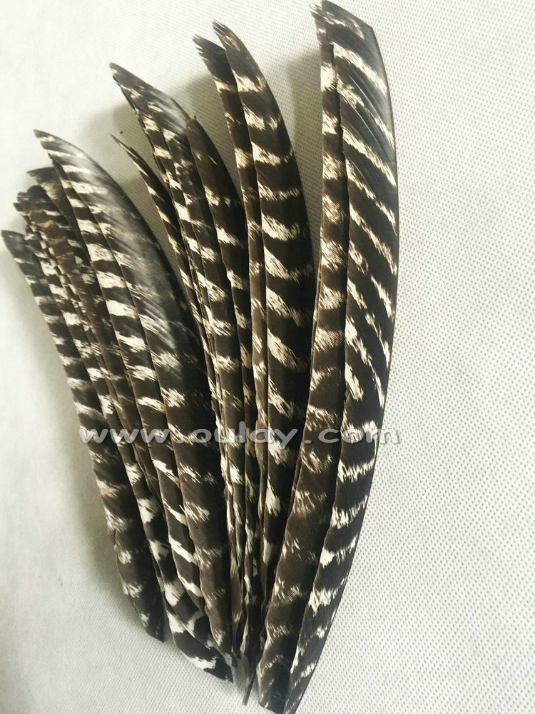 Trueflight Full Length Turkey Feathers Archery Left Pheasant Wings for sale
