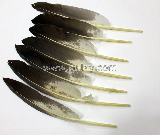 goose feathers